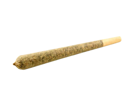 Joints packaging shown for Creampie | Joints | 1g on the Herbs 4 You menu