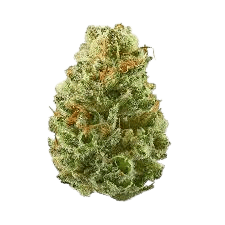 Bubba Whip