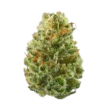 Bubba Whip — flower listed on the Herbs 4 You menu
