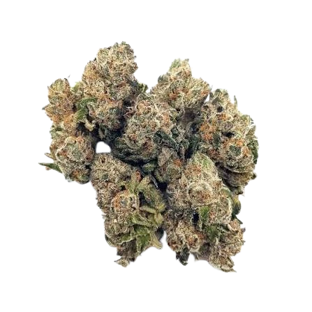 Granny's Apple Sass — flower listed on the Herbs 4 You menu