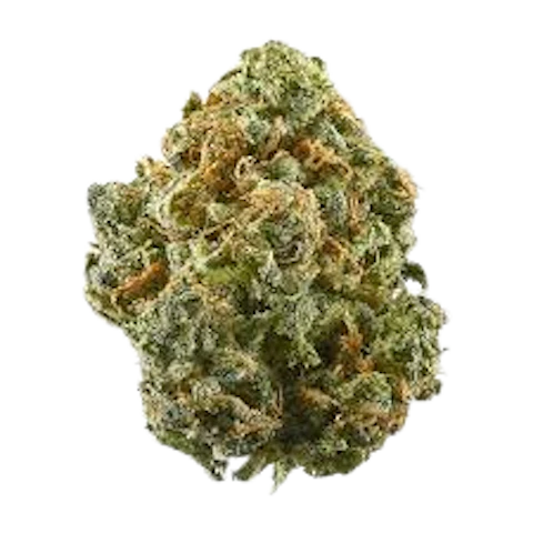 Zero Cool | Big Buds | 1g — buds listed on the Herbs 4 You menu