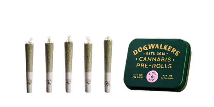 Dogwalkers Joints 10PK (3.5G) - Glue Breather (S)
