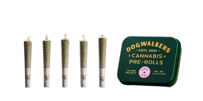 Minis packaging shown for Dogwalkers Joints 10PK (3.5G) - Sour Kiwi Pop (H) on the Herbs 4 You menu