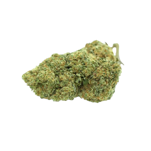 Pink Marshmallow — flower listed on the Herbs 4 You menu