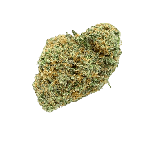 Black Maple