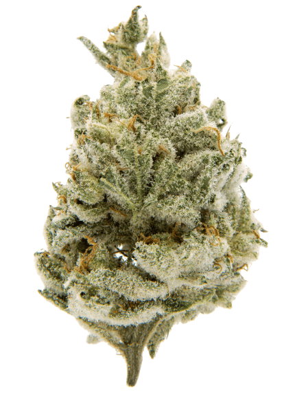Rainbow Sherbet