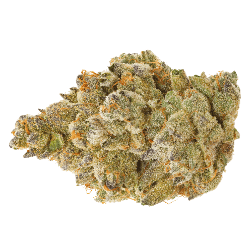 Rainbow Guava