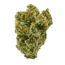 Sherbert Cream