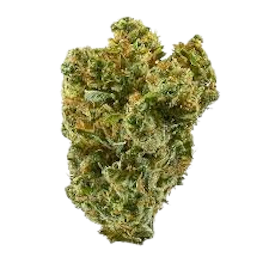 Sherbert Cream — flower listed on the Herbs 4 You menu