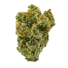 Sherbert Cream — flower listed on the Herbs 4 You menu
