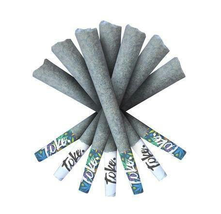 Toke Light Speed