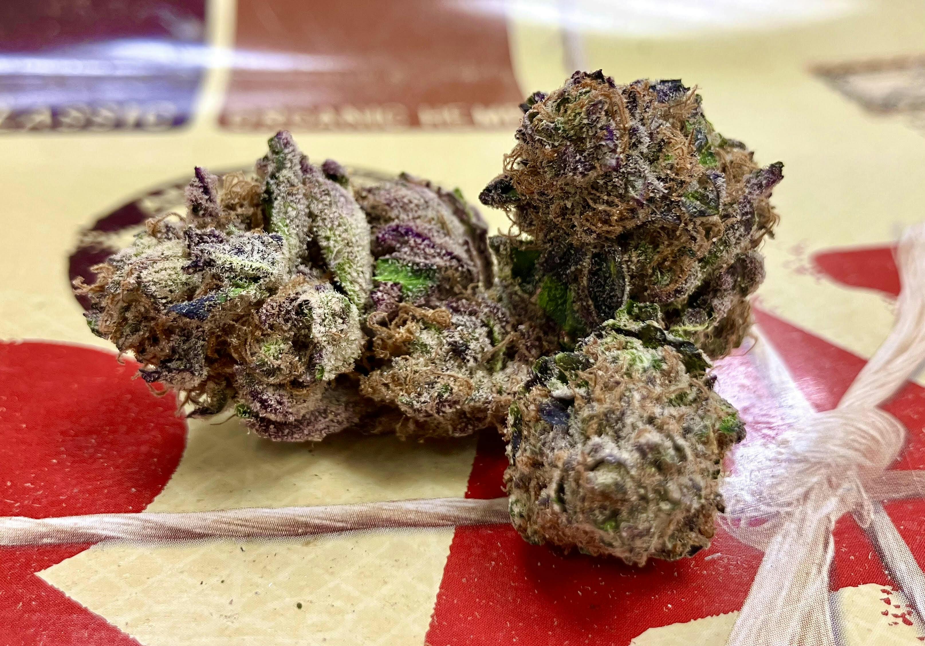 MED - Tropicana Banana