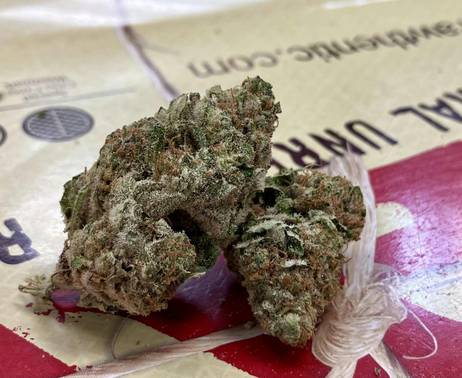 MED - Blueberry Lights