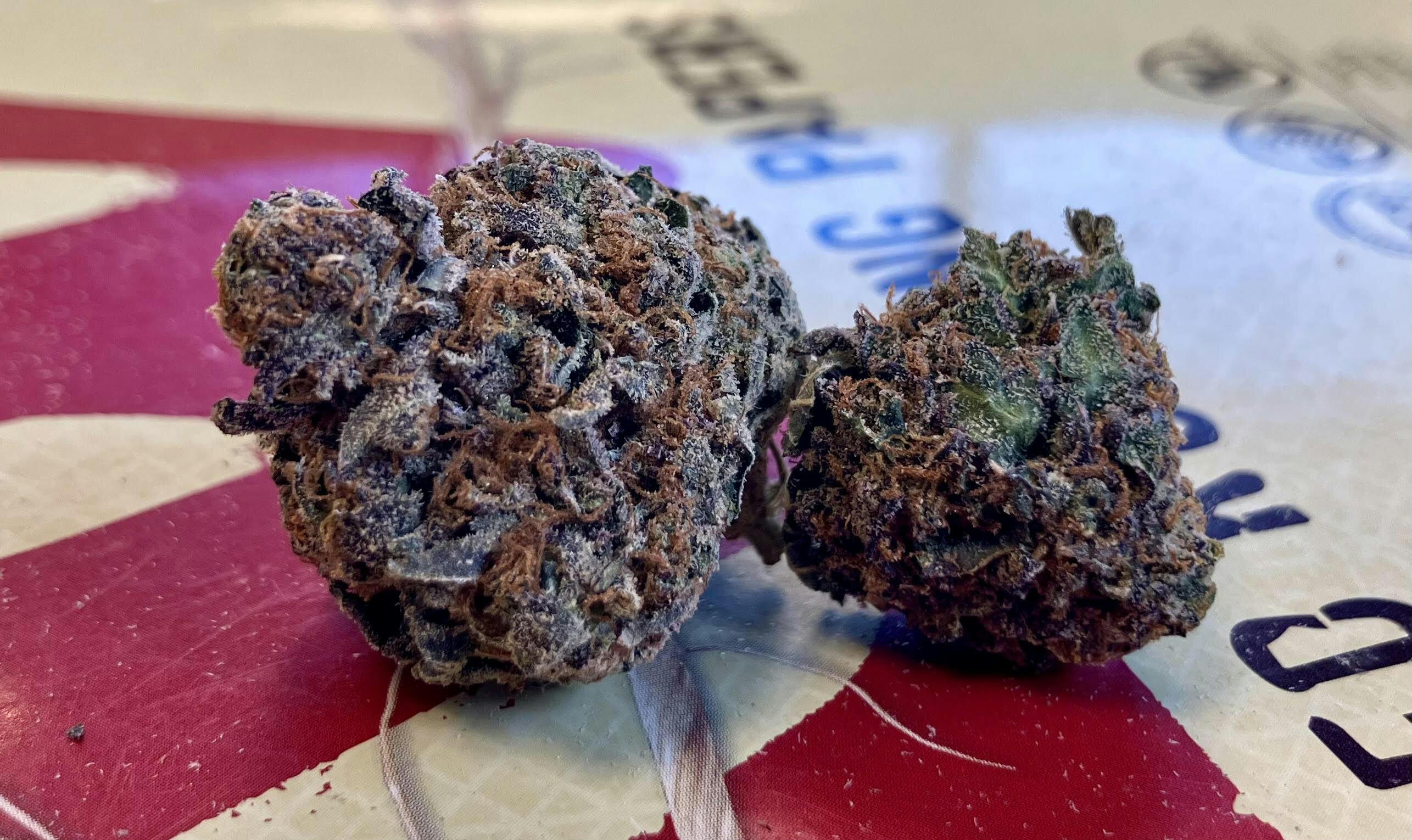 REC - Durban Kush