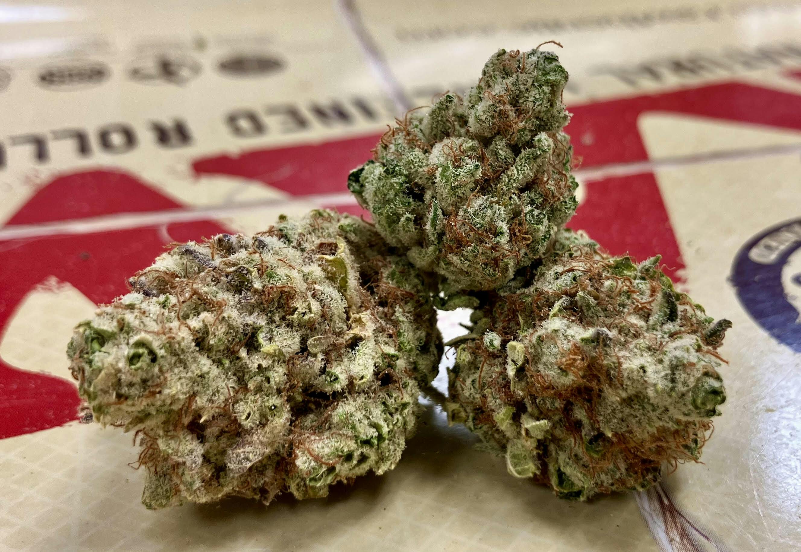 MED - Apple Fritter