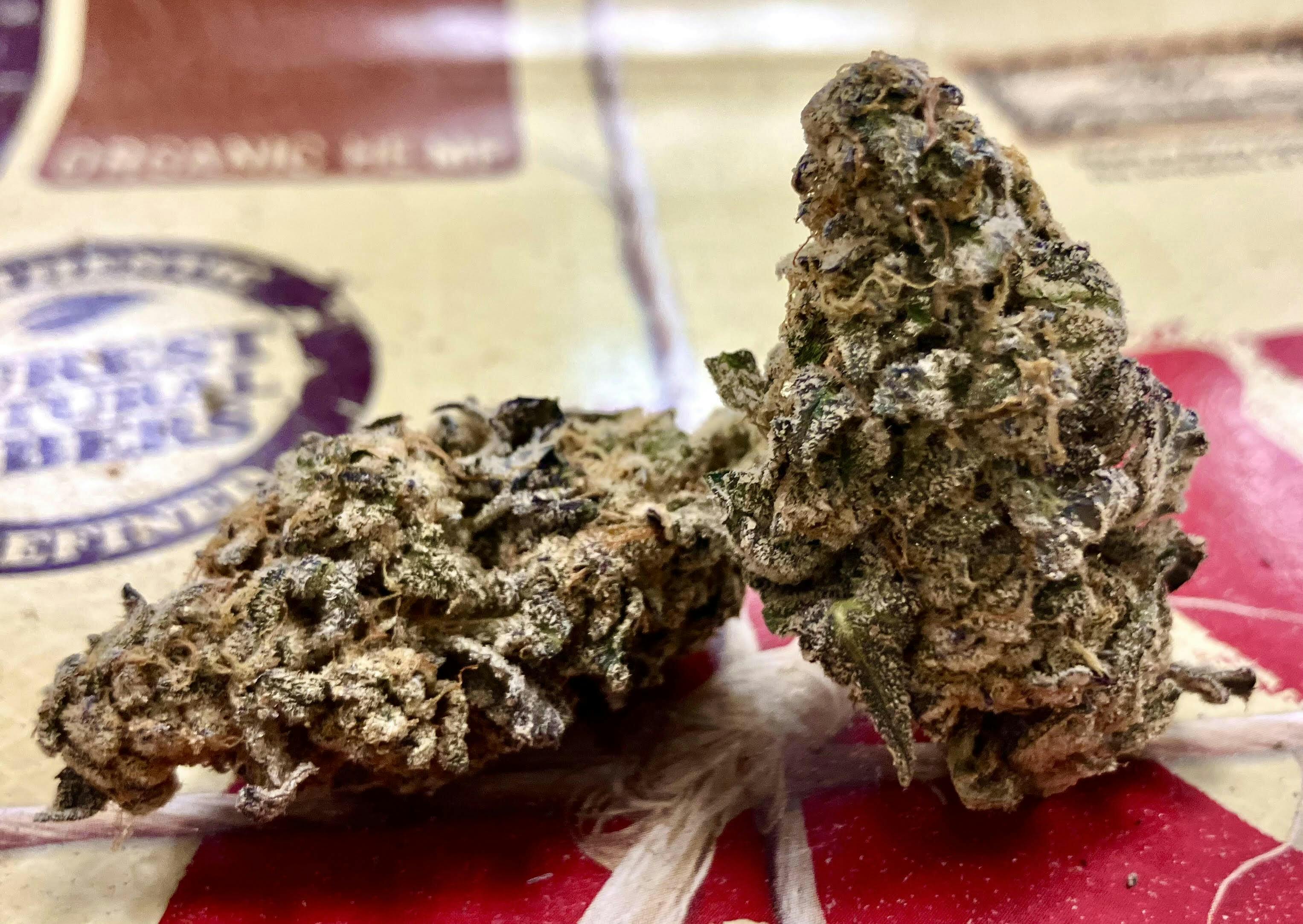 MED - Kush Mints