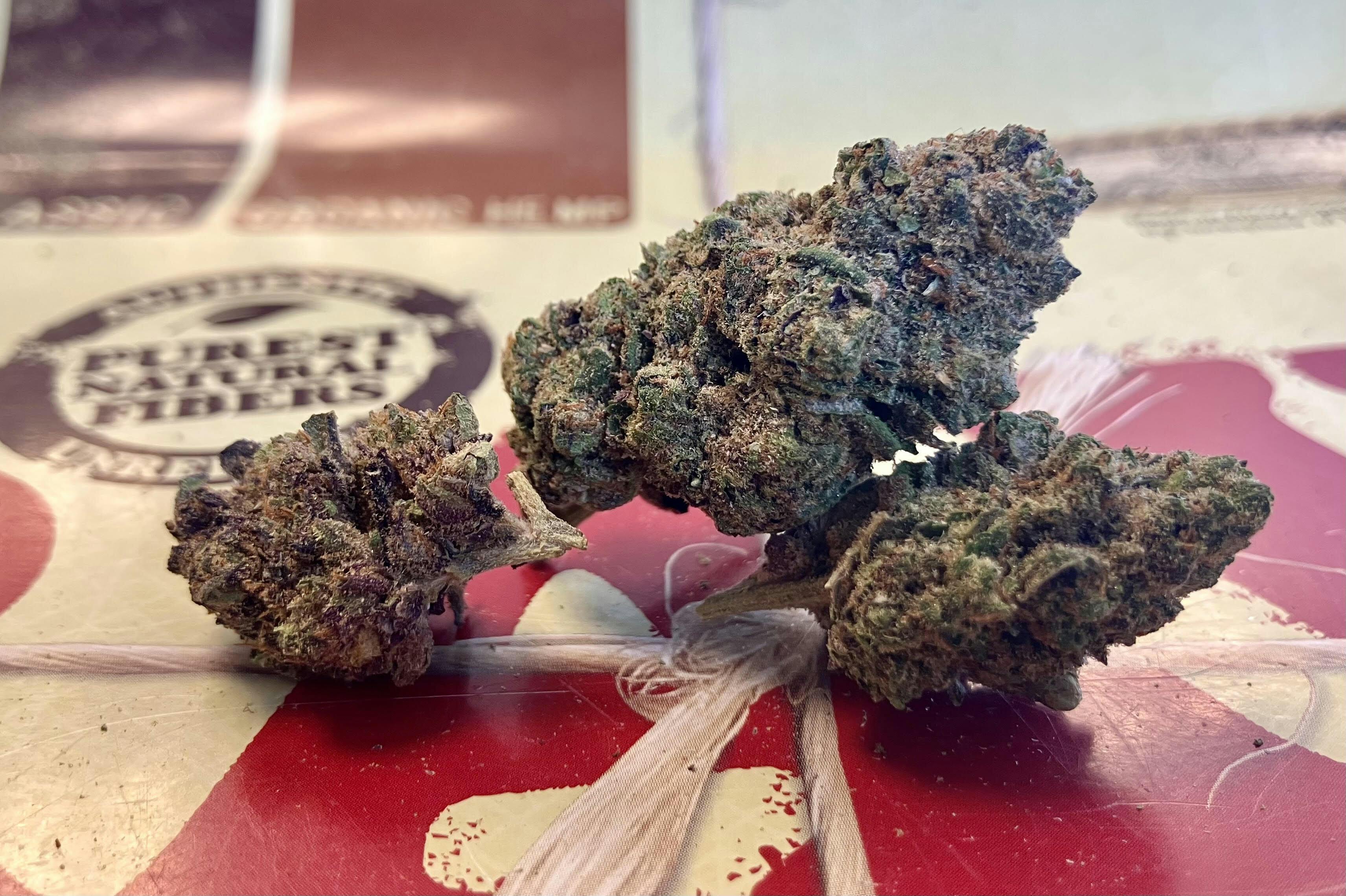 REC - FF - Notorious THC