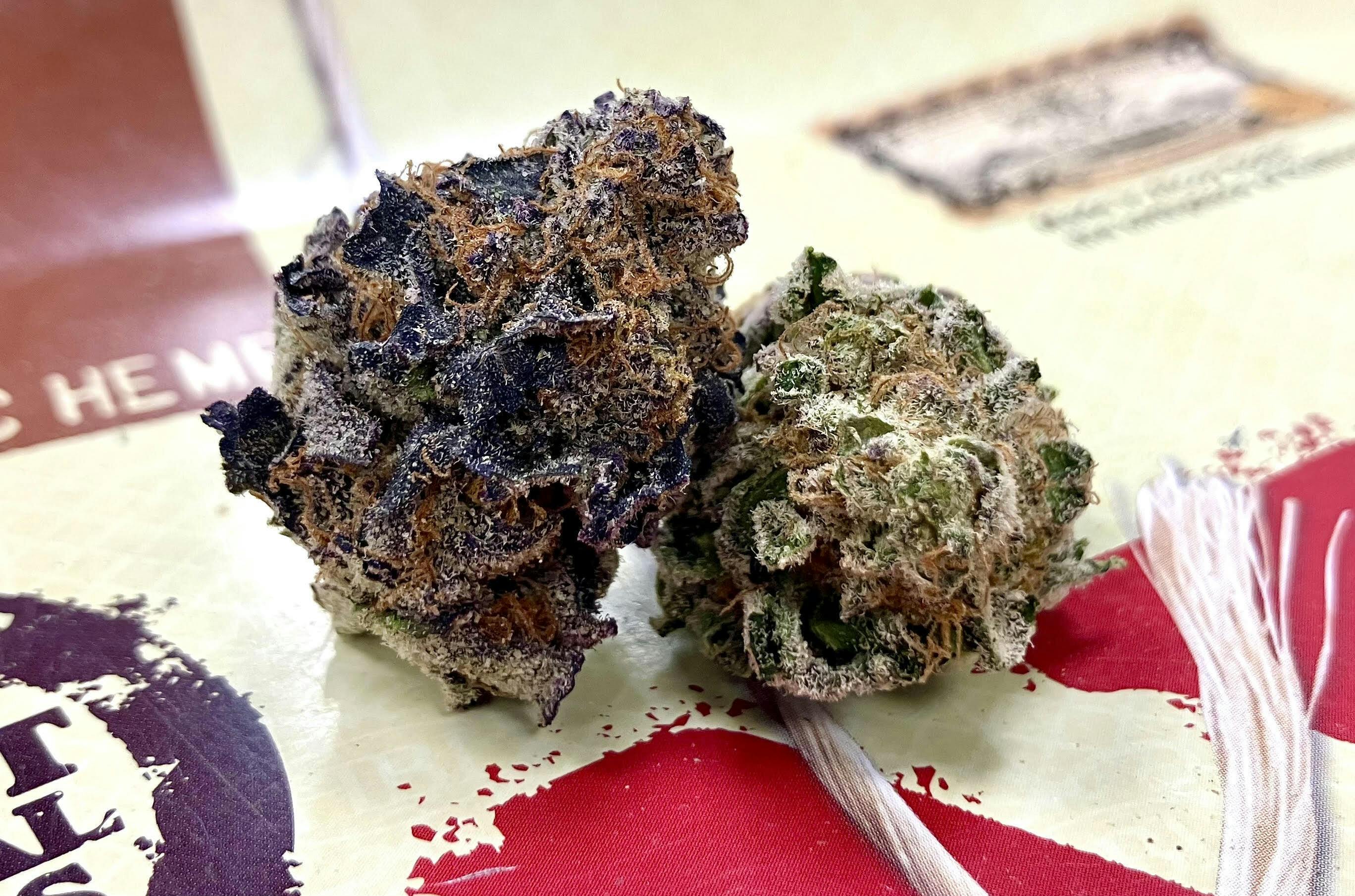 MED - Tropicana Banana