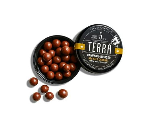 TERRA BITES MILK CHOCOLATE SALTED CARAMEL 100MG