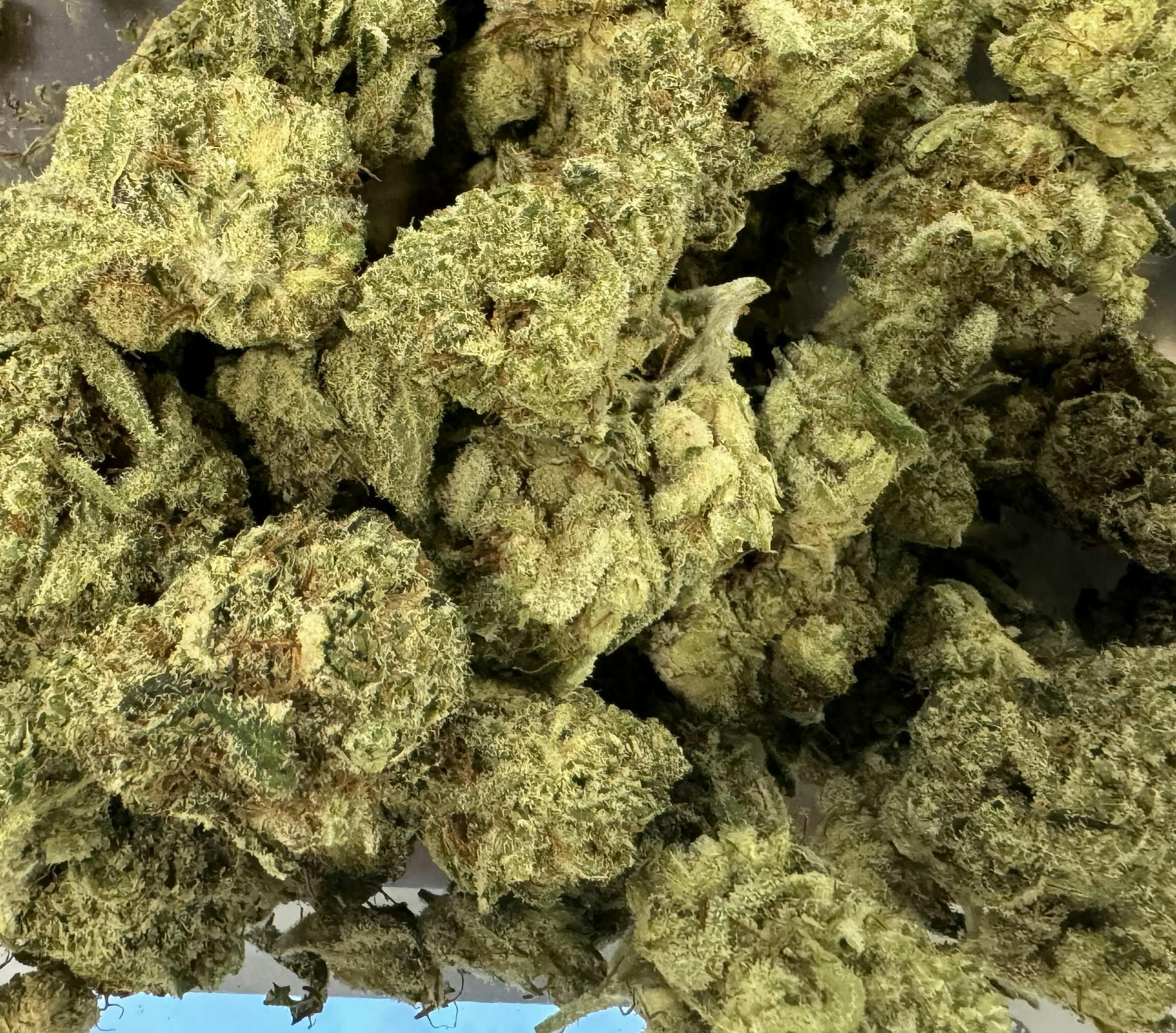 Blackjack (Hydro)