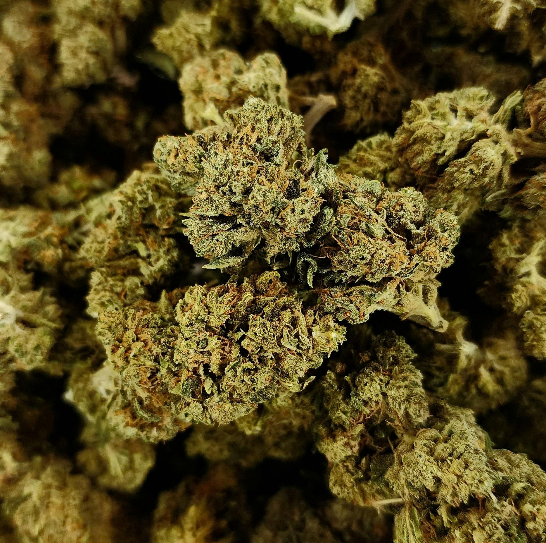 Witches Weed Pure
