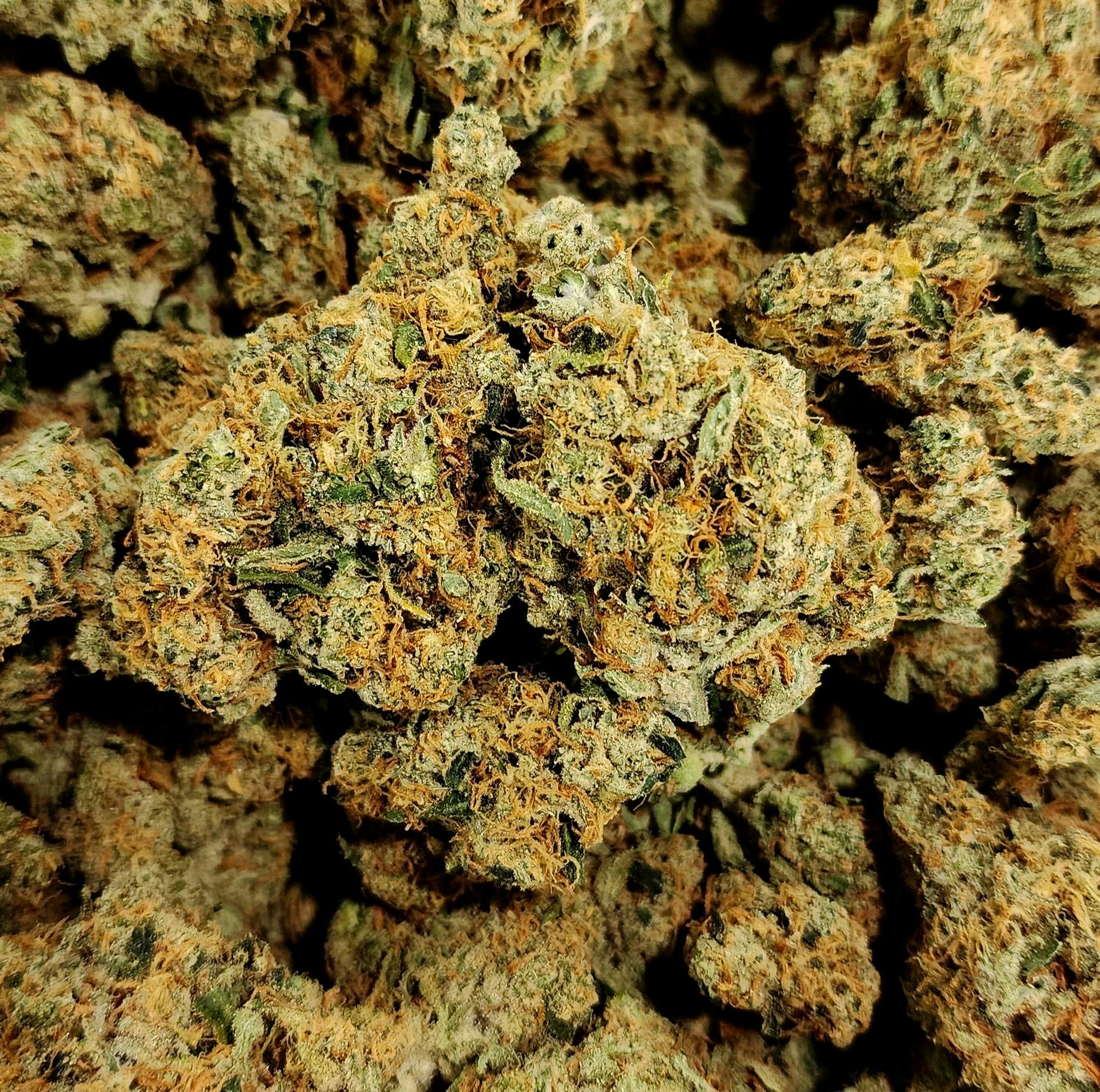 Tango- (Hydro)