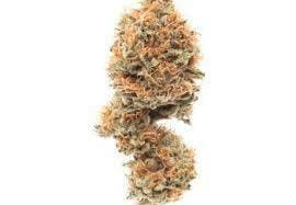 Silver Valley OG