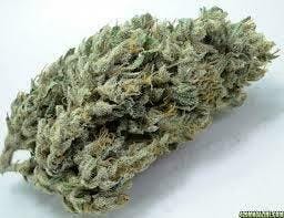 Silver Mountain