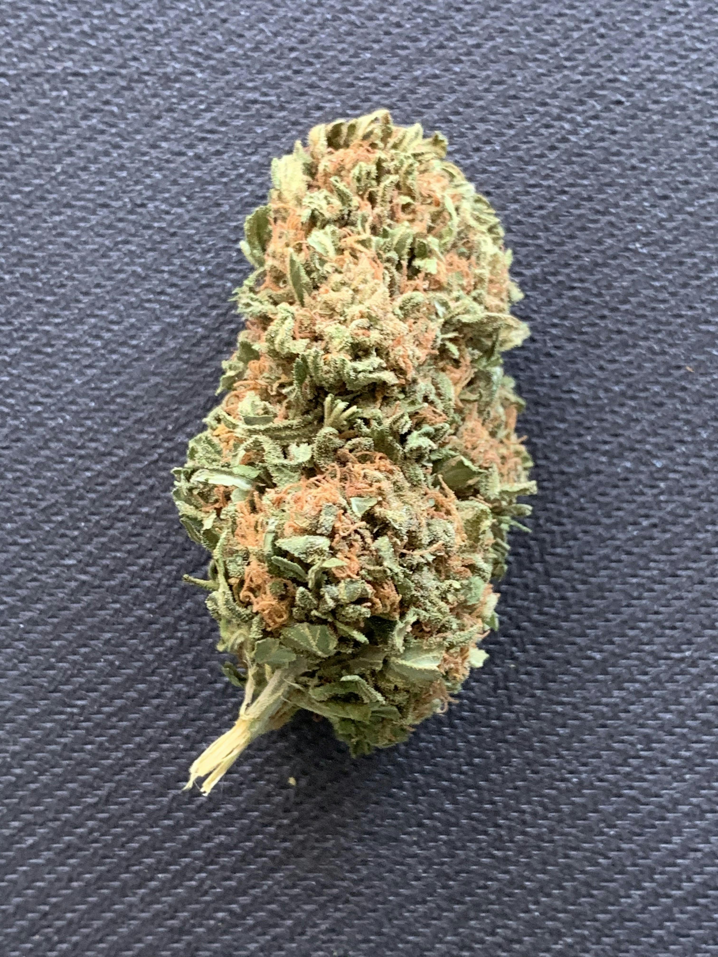 Lemon Sour Diesel(outdoor)