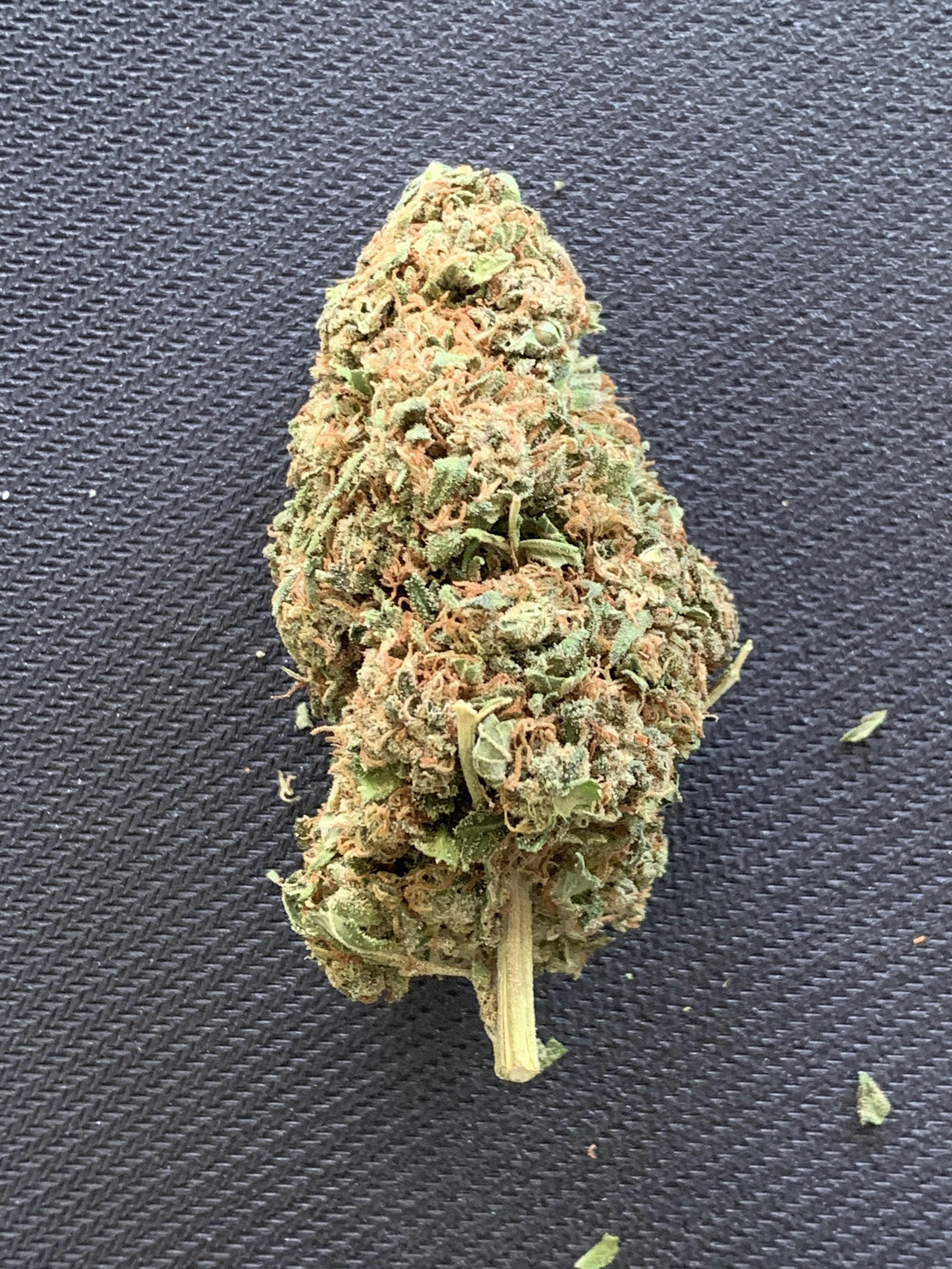 Gorilla Glue(outdoor)
