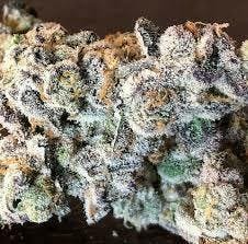 Gelato Cake