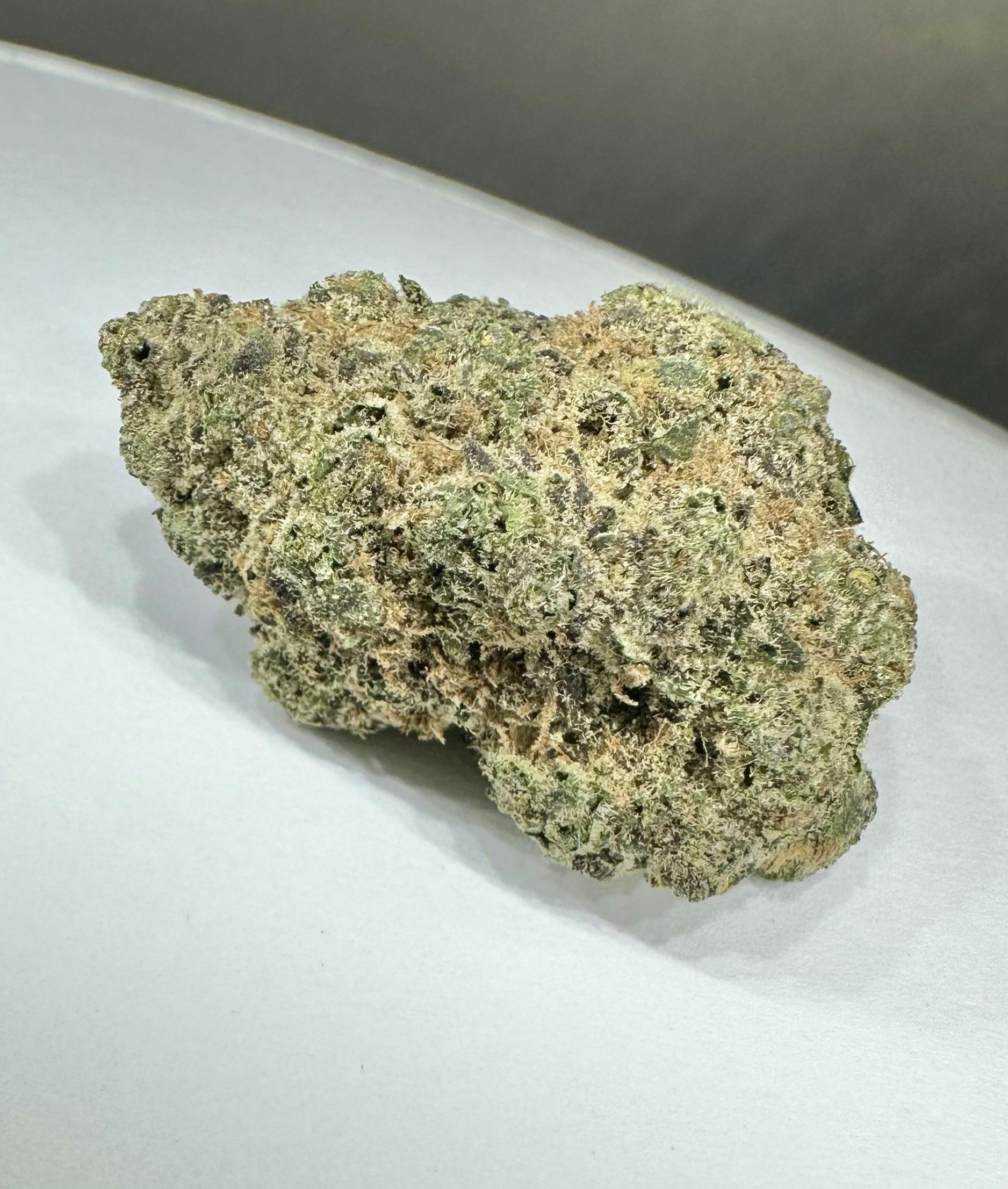 MED - **VIP SHELF** - Super Boof (Black Cherry Punch X Tropicana Cookies)