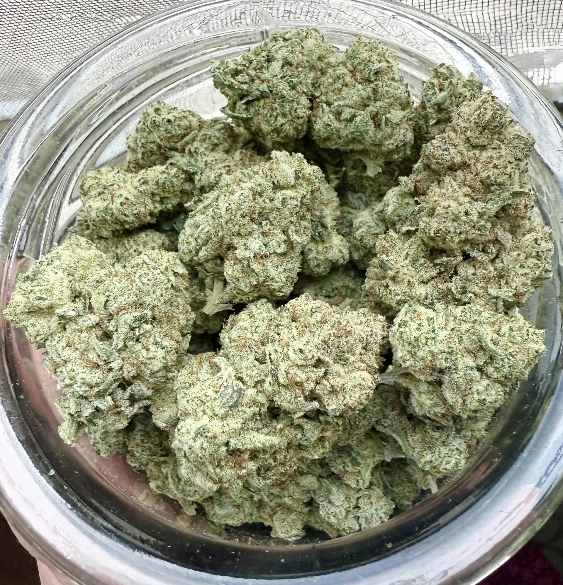 MED - DIAMOND SHELF - Briar Berries (Wedding Cake X Watermelon Zkittlez)