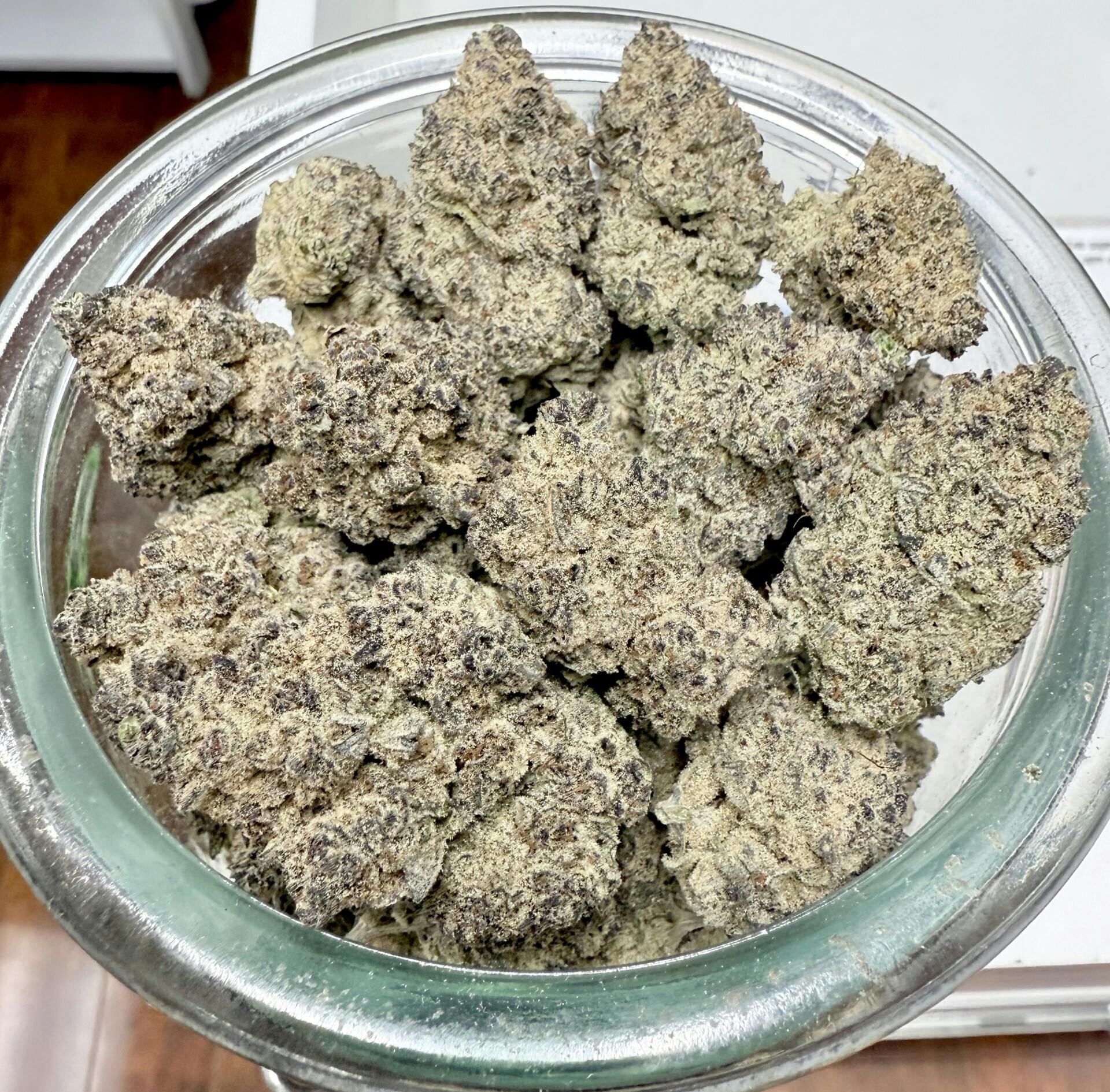 MED - PLATINUM SHELF - Black Velvet (The Black X Burmese Kush)