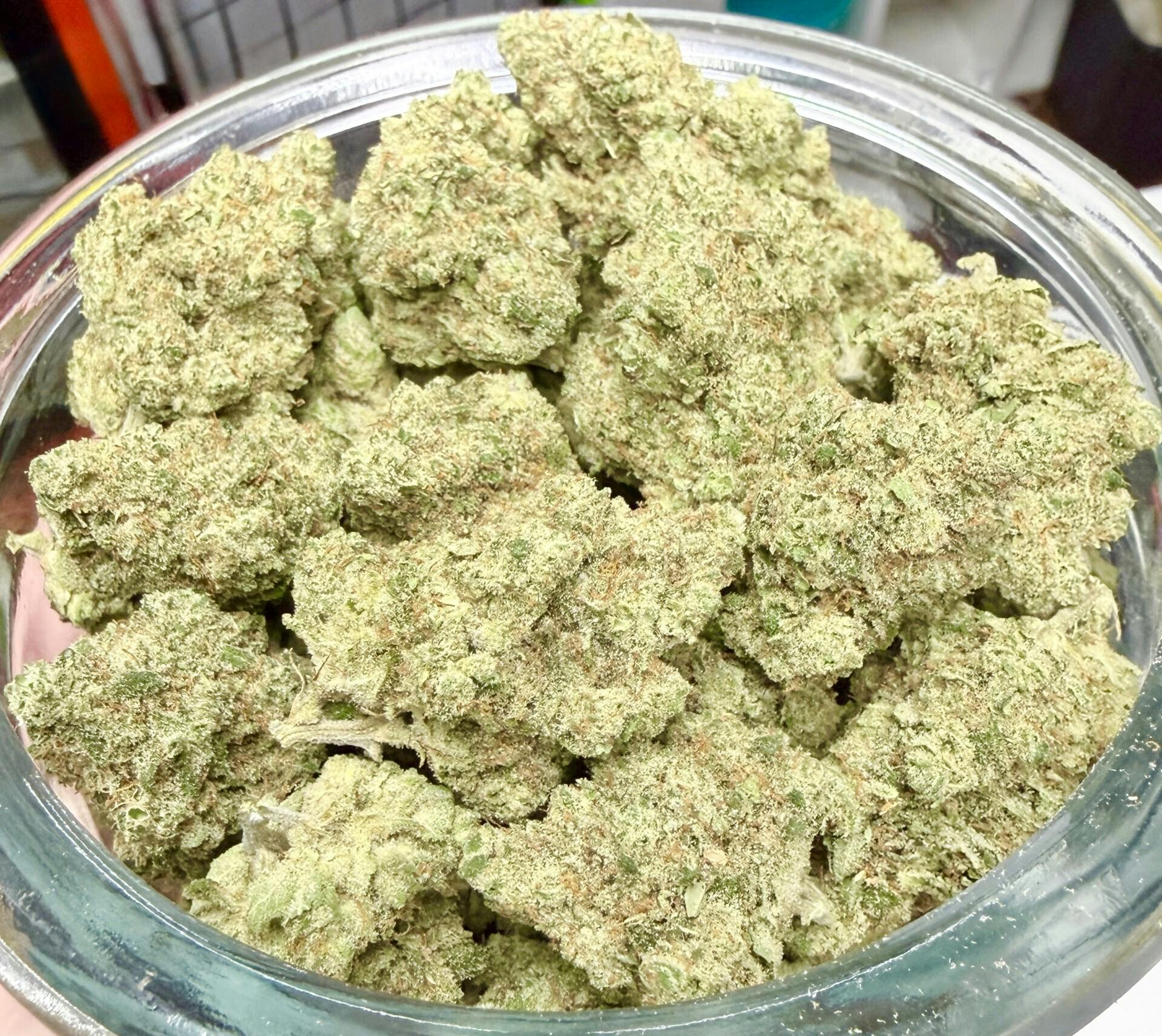 MED - DIAMOND SHELF - G13 (Unknown Indica Parentage)