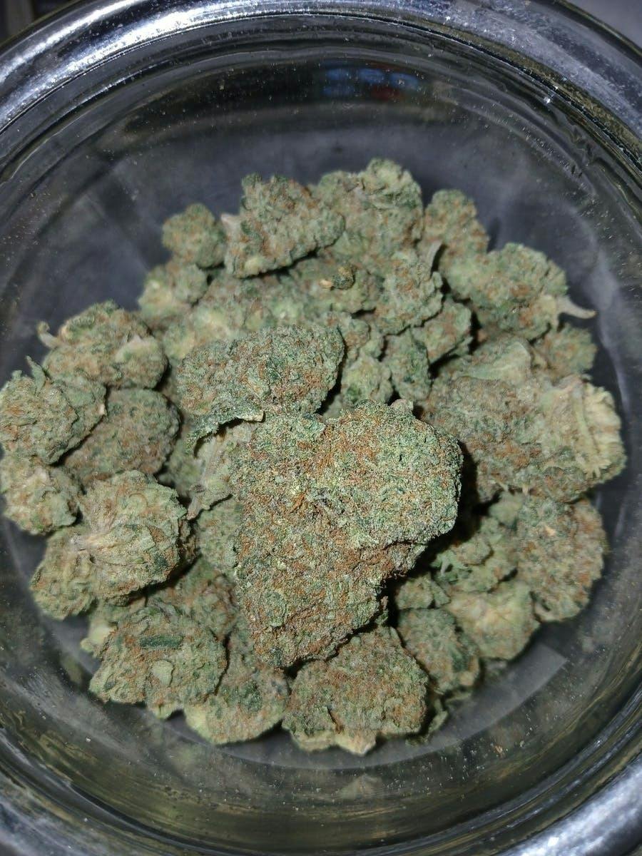 REC - Maple Nectar - TOP SHELF