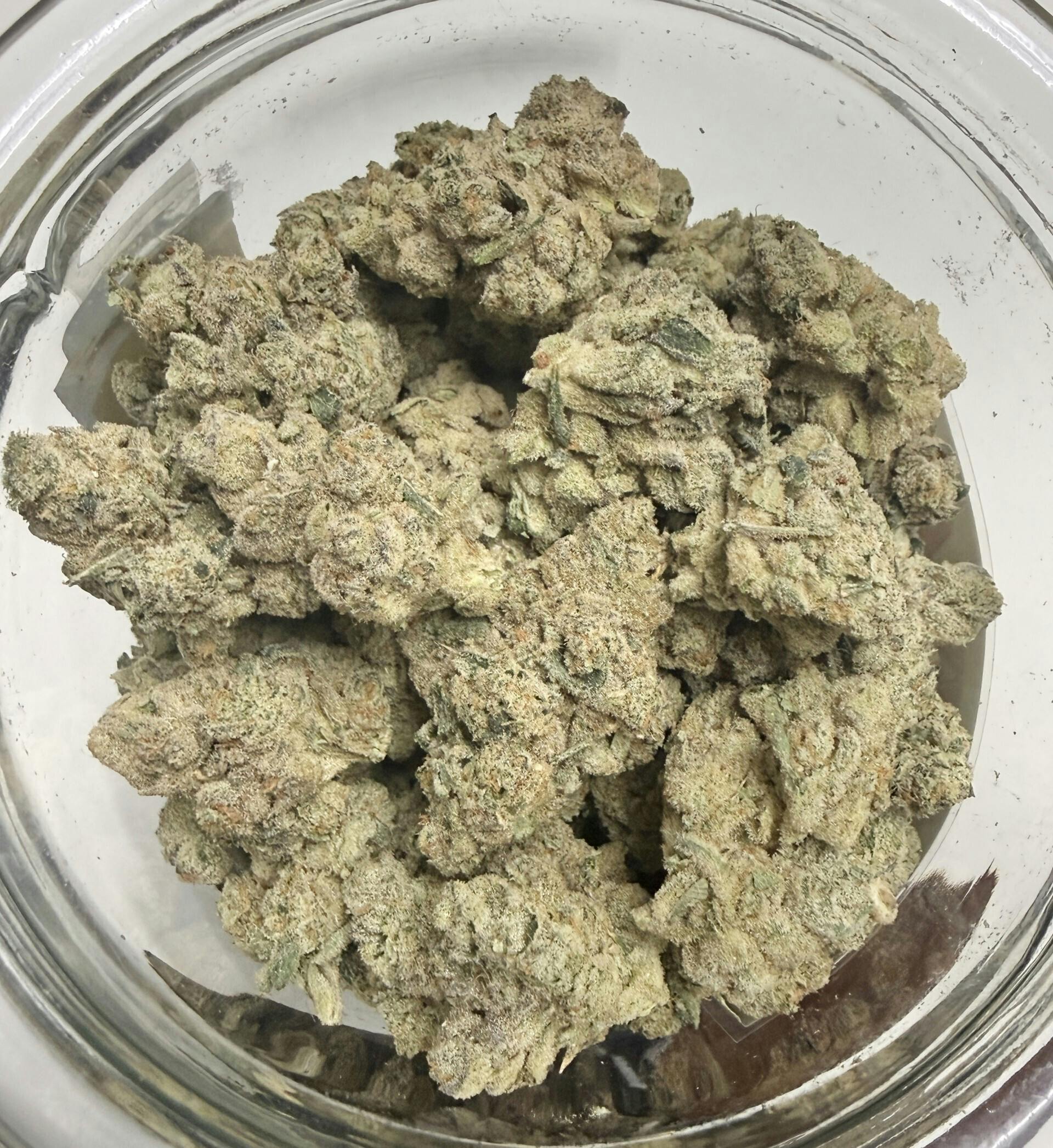 REC - Lituya Bay - TOP SHELF