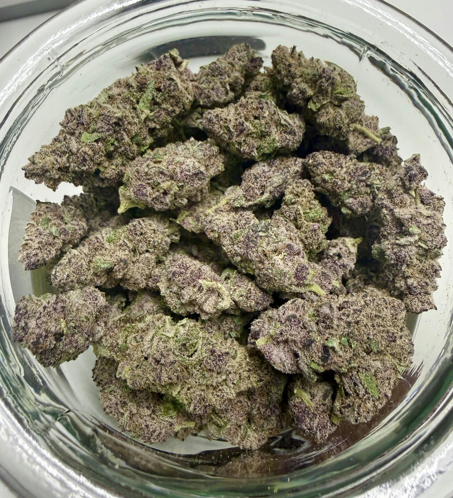 MED - **VIP SHELF** - Frozen Cherrycanna (Frozen Bag × Tropical Cherry #11)