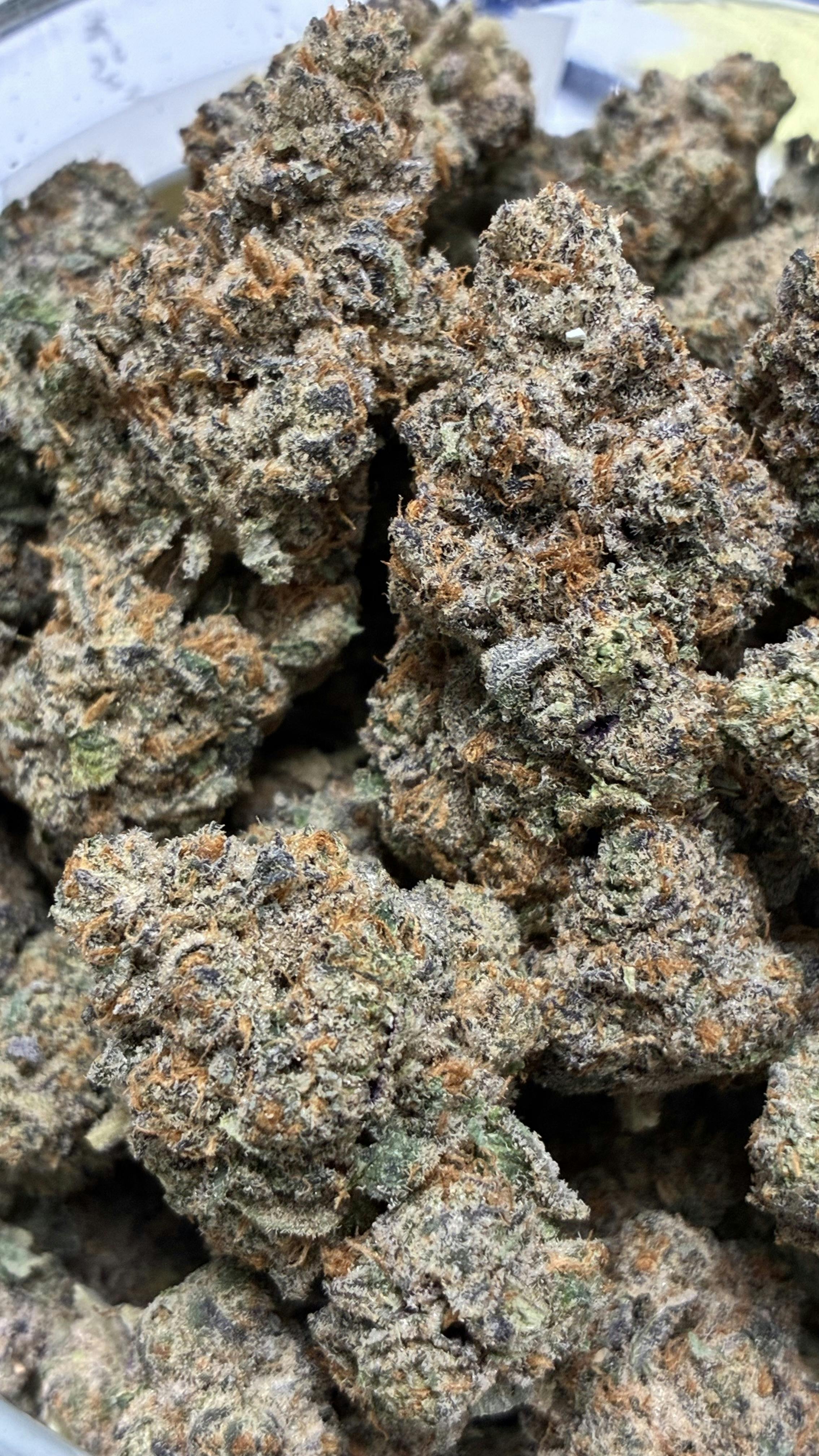 MED - DIAMOND SHELF- Apple Fritter (Sour Apple X Animal Cookies)