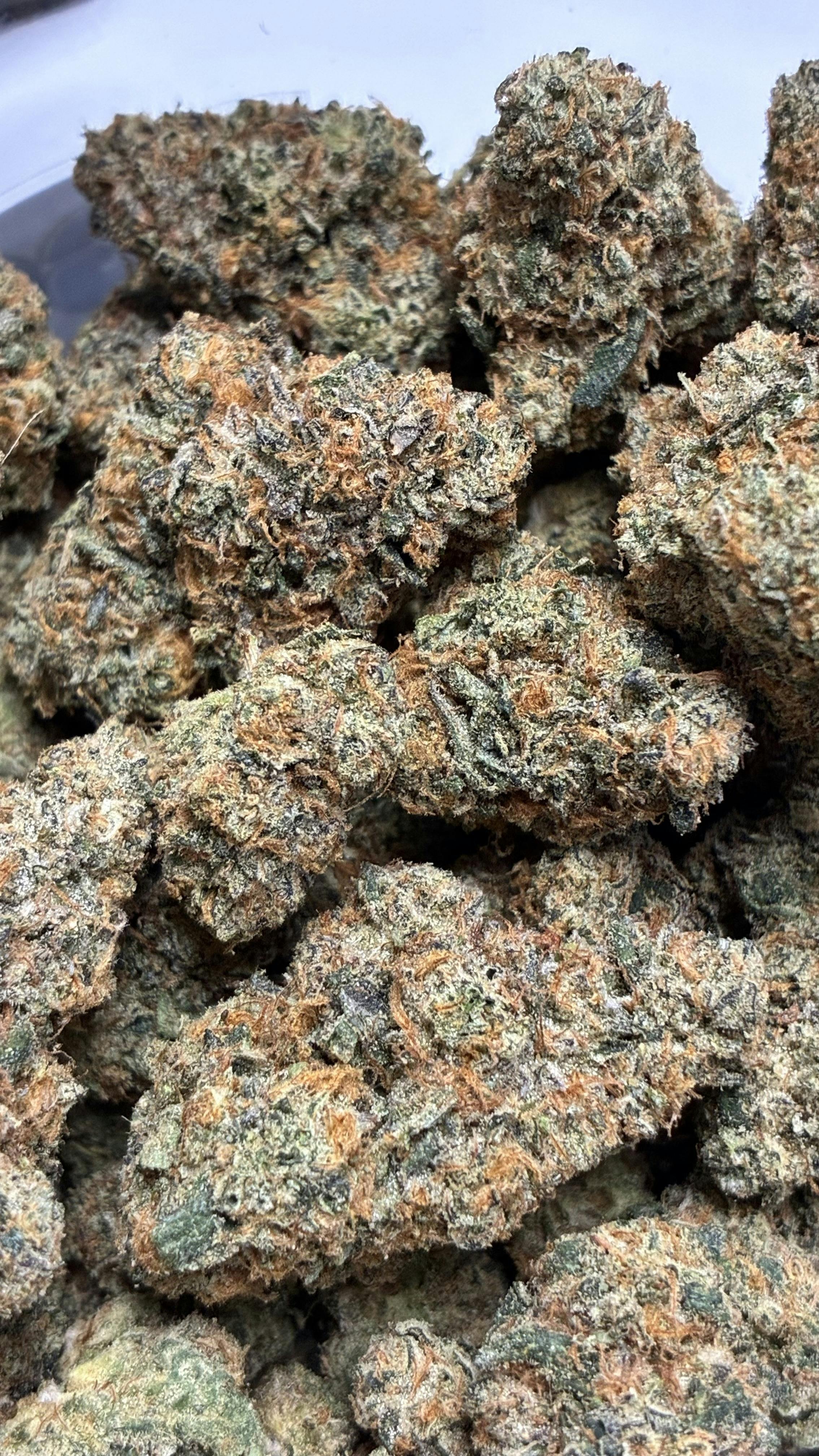 MED - DIAMOND SHELF - Gorilla Zkittlez (Original Glue X Zkittlez)