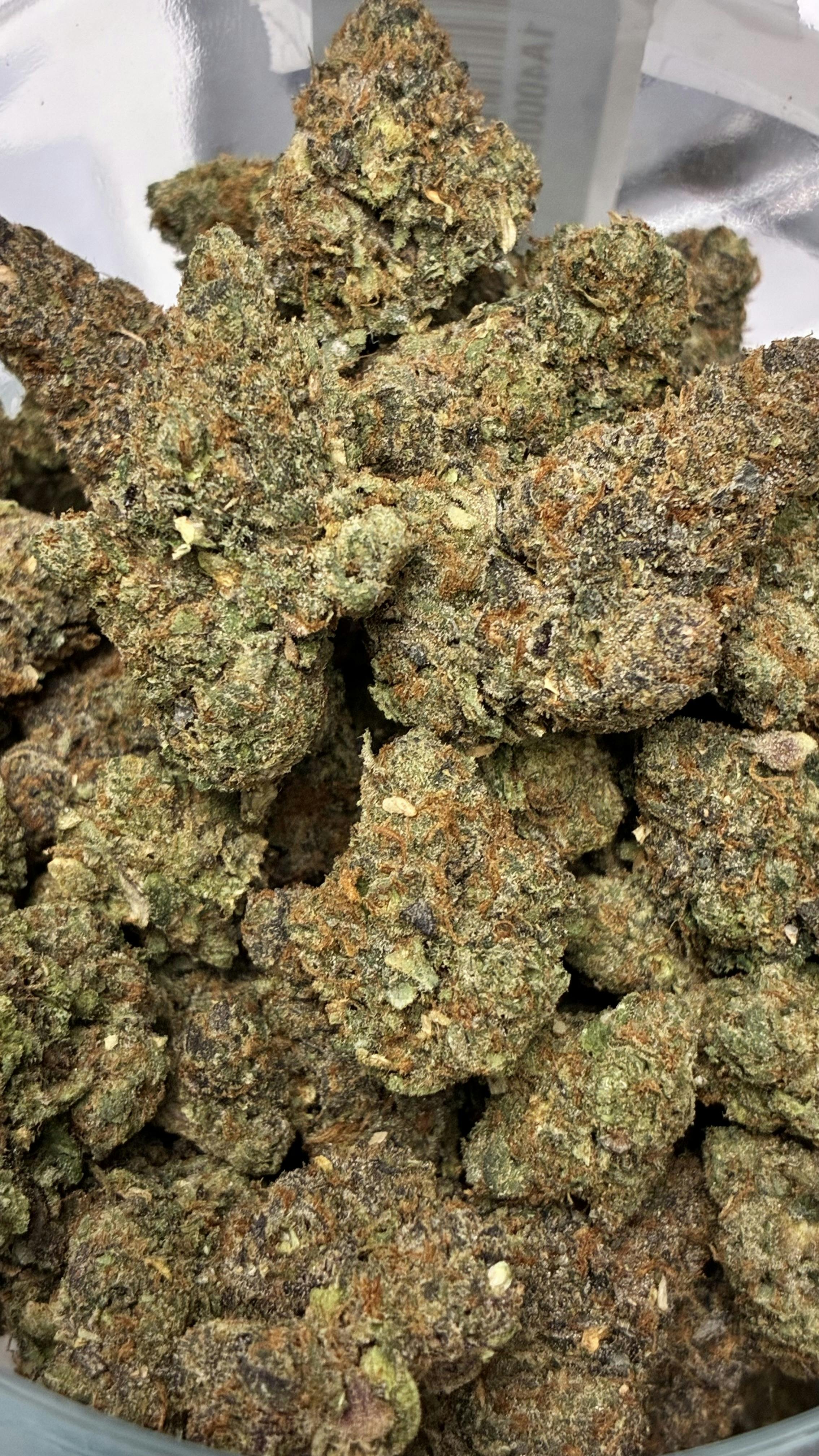 REC - P41 - PLATINUM SHELF