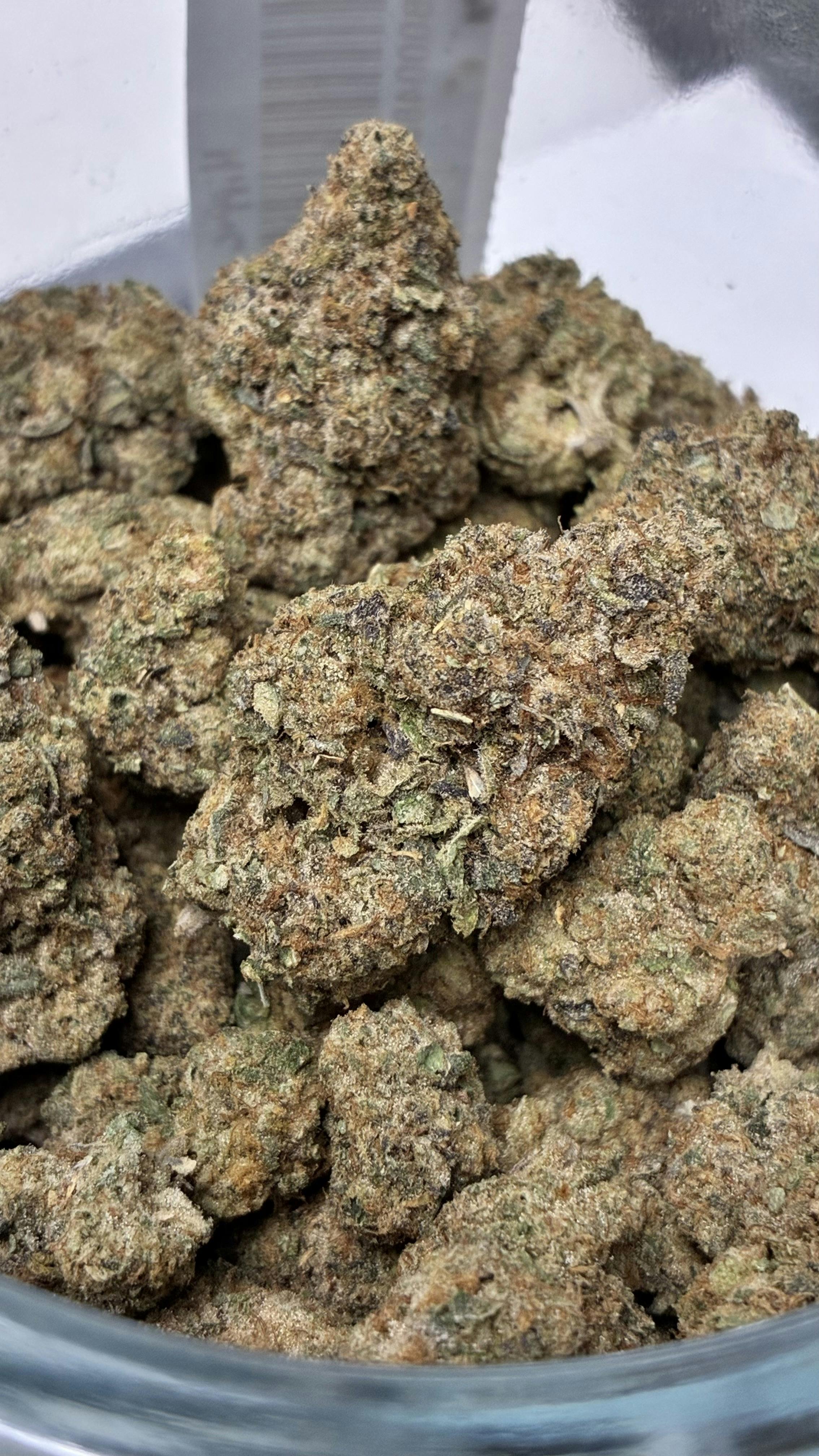 REC - Hippie Crasher - TOP SHELF
