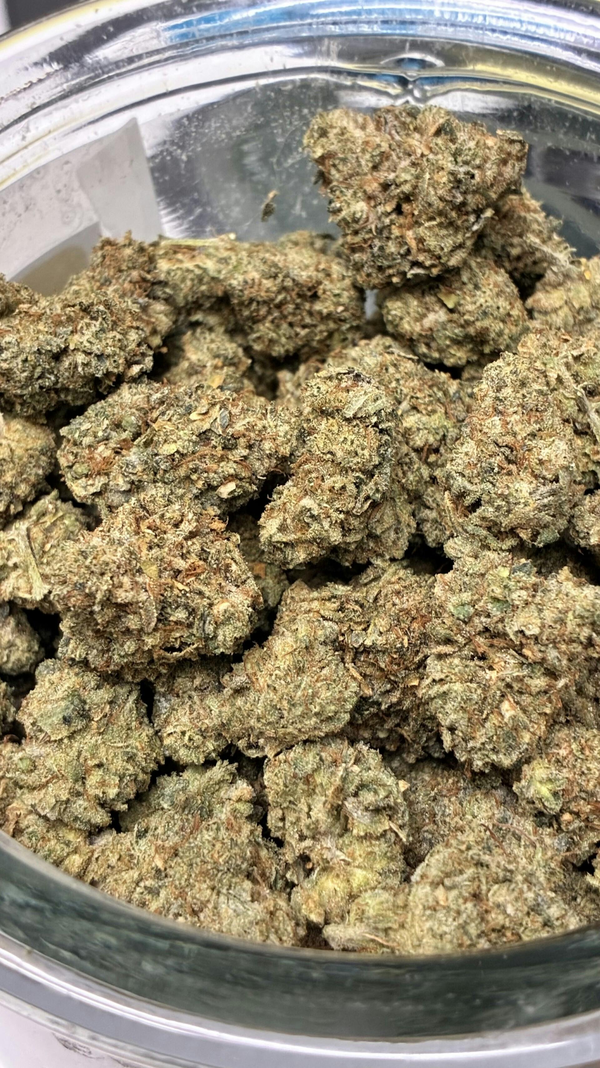 MED - PLATINUM SHELF - GG#4 (Sour Dubb, X Chocolate Diesel)