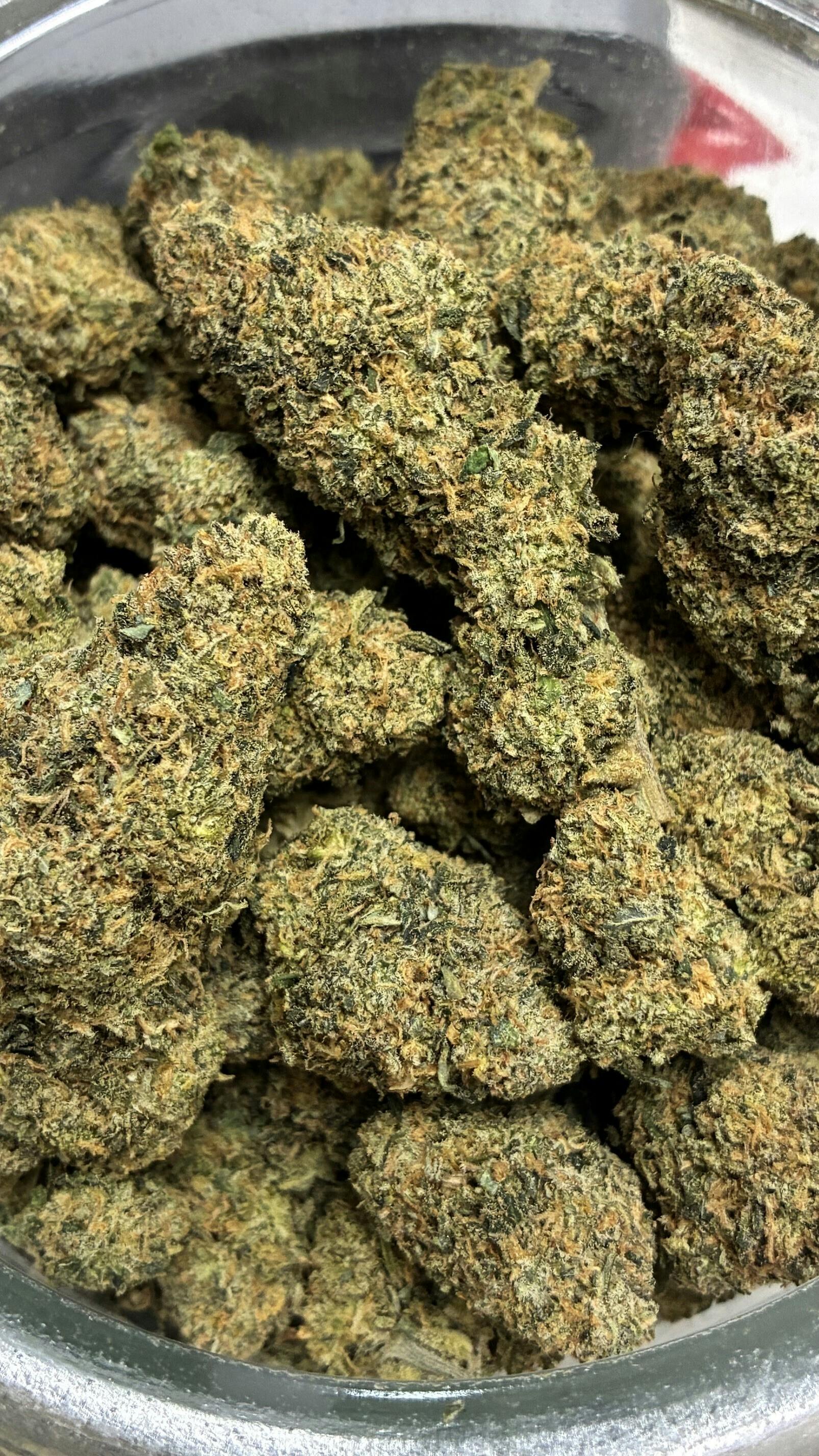 MED - PLATINUM SHELF - Sour Cheese Berry (Sour Diesel X UK Cheese X Trainwreck Blueberry)