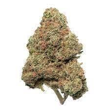 MED - Kaya - White 99