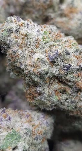 PURPLE PUNCH