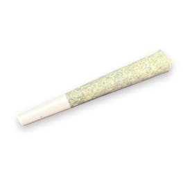 .5g Galactic Runtz Pre-Roll (Michigan Pure Pharms)