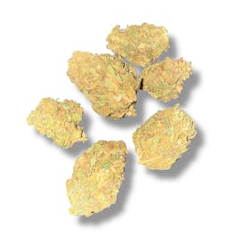 Bud - Headband (Michigan Pure Pharms)