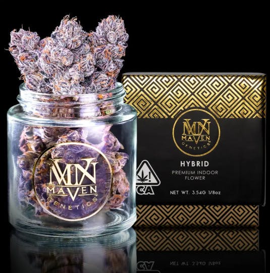 Maven Genetics: New Money