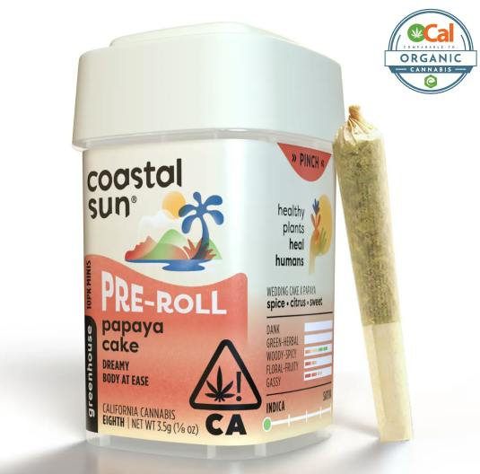 Coastal Sun: Papaya Cake